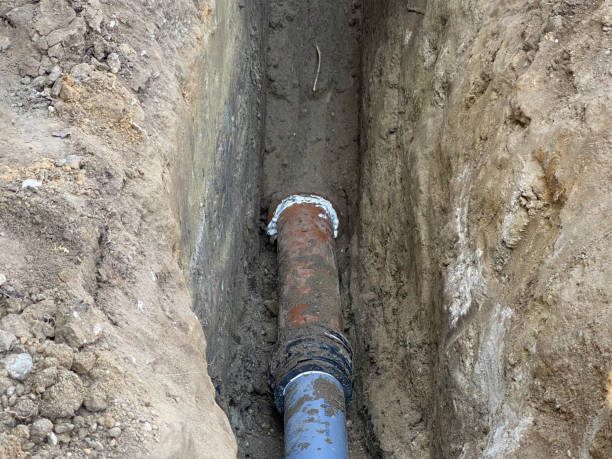 Best Basement water damage restoration  in Fairchild Af, WA