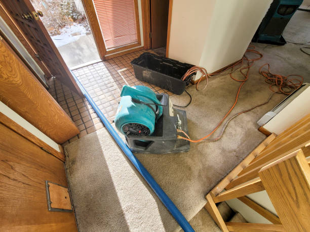 Best Professional water damage repair  in Fairchild Af, WA