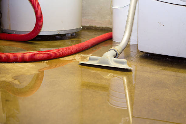 Best Water damage restoration near me  in Fairchild Af, WA