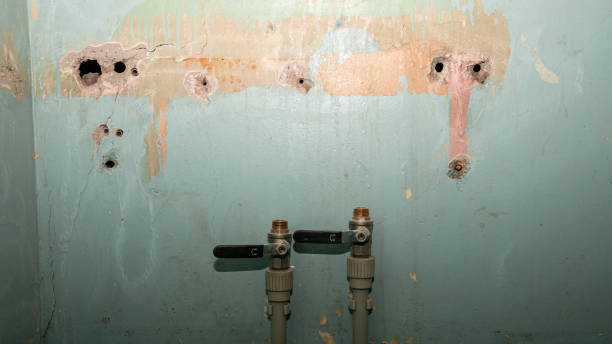Best Local water damage restoration  in Fairchild Af, WA