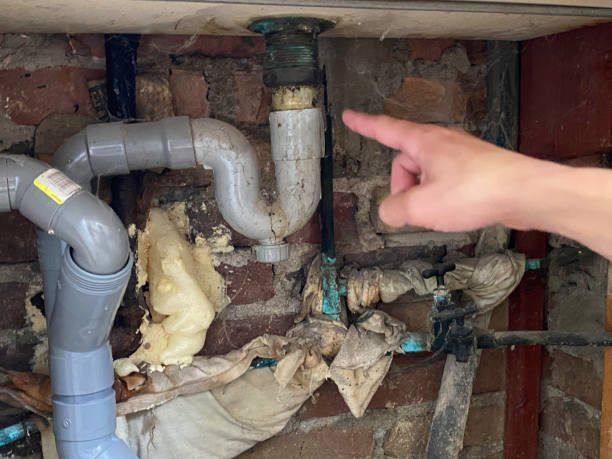 Best Mold removal after water damage  in Fairchild Af, WA