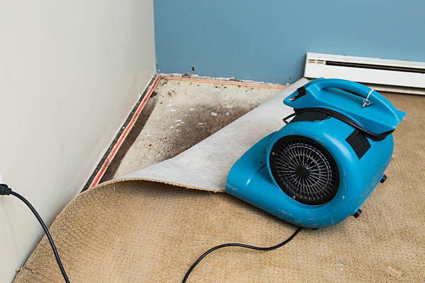 Best Water damage restoration near me  in Fairchild Af, WA